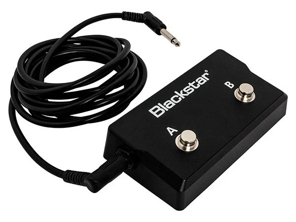 2 Button Footswitch